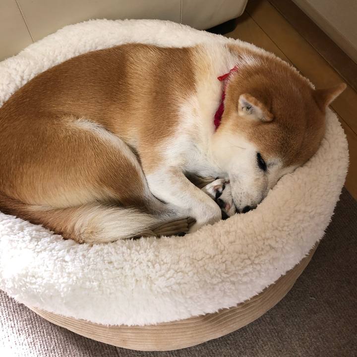 F4538983 d15c 4dd7 80a5 a6e6d4169ca4 1571812856052