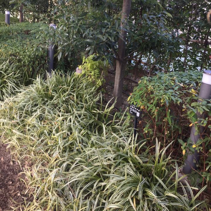 F453941c 3730 4fa3 b7aa 312b73f4c3e5 1543123855165