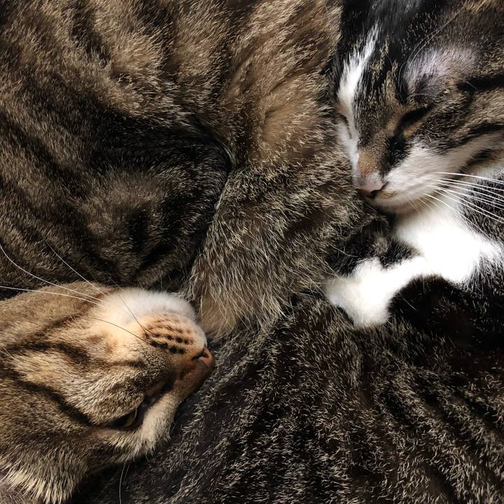 F4539d33 27ef 44c1 827d 71df339235d3 1556325948606