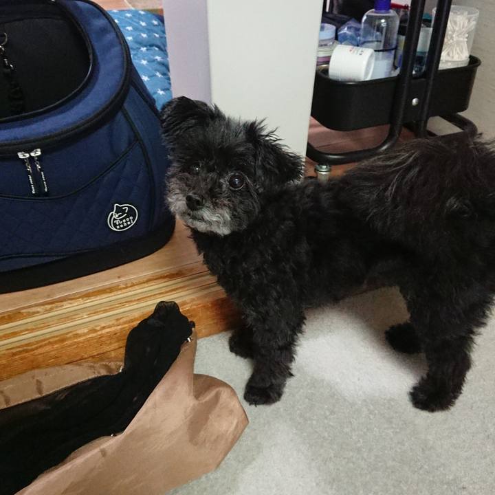 F453d30b d0c4 484c 819d 2c5daad9d3b8 1595652135777