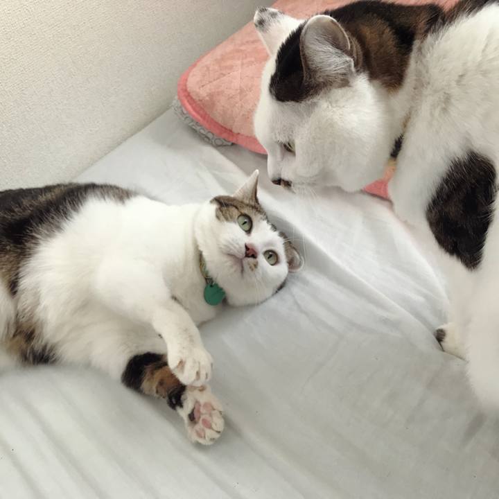 F453dd60 1d2e 4849 a2c3 745ae85a05a4 1575275995309