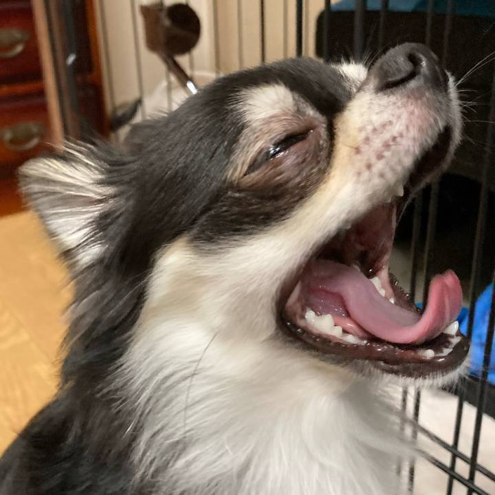 F453e667 b0c5 4d9d 9342 153b8494eb2c 1622299798460