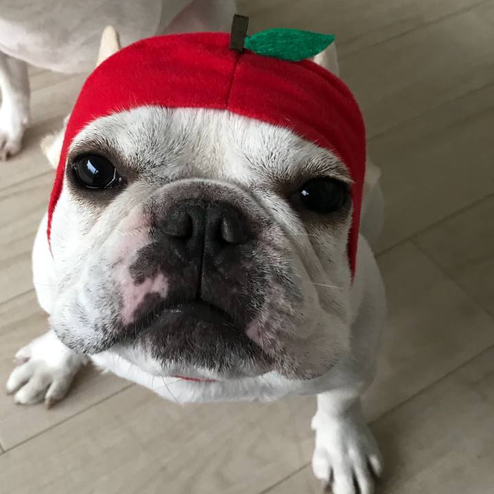 F453f3e0 3af1 47a6 88ae 6bdb9613ceac 1508645235710