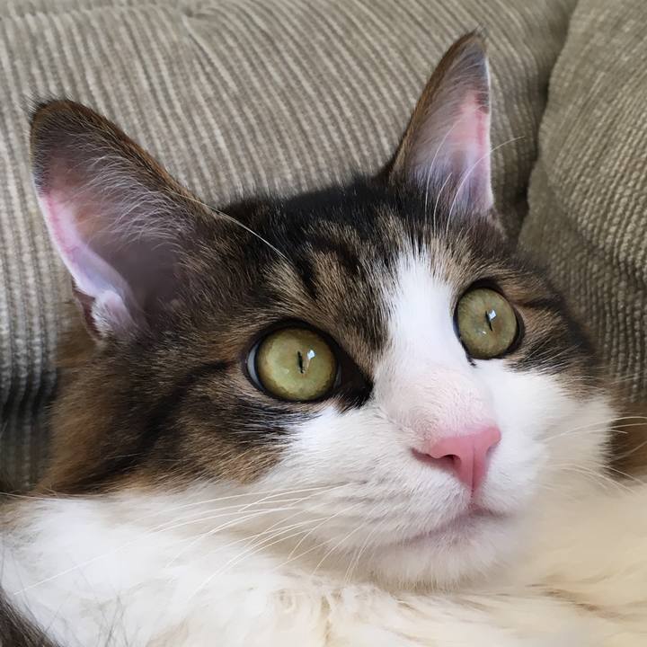 F454079e c666 42ad b91c 9c9f23ccf0a6 1521246806370