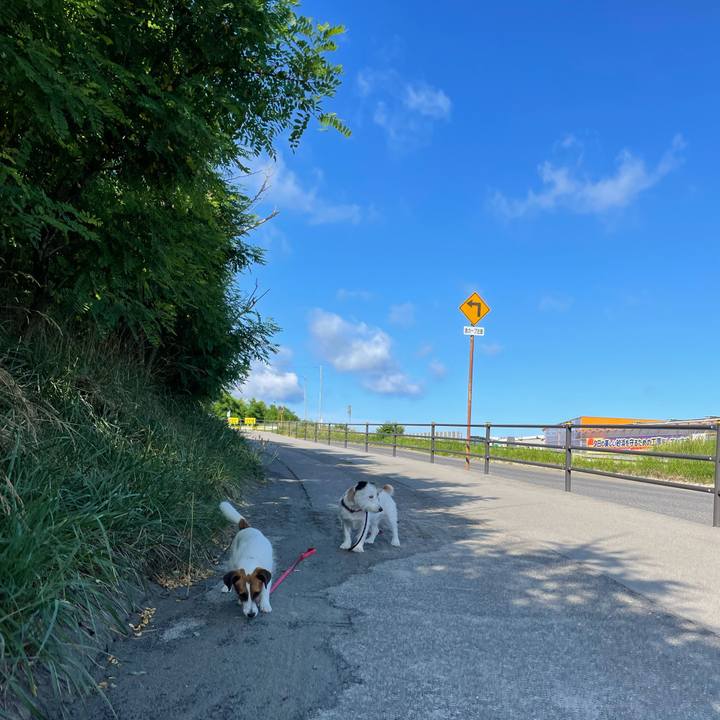 F4542100 0083 412a 8142 b8b0e8e4a758 1625267681922