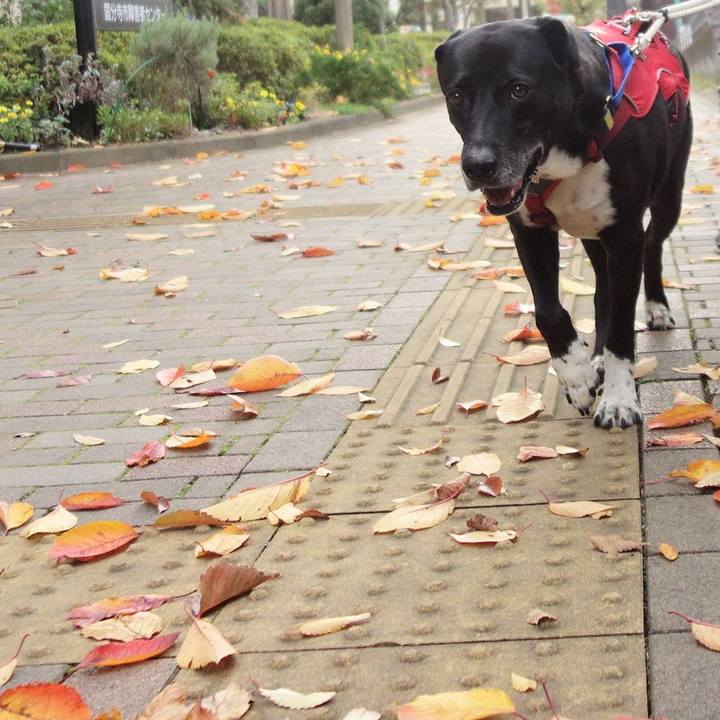 F454af8a 98b5 43eb 9de5 124f1be0cf27 1669683434241