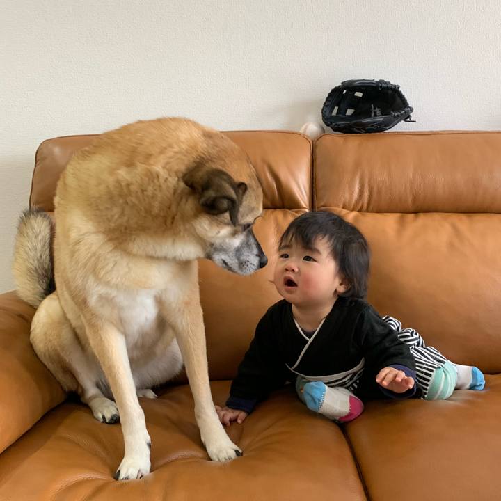 F454beb8 d722 40ad 9fd3 920423b5d817 1546321175826