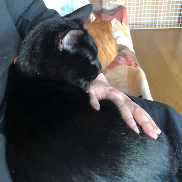 F454c533 c9ad 41b8 b99a 65bc5a1aabf2 1668723356300