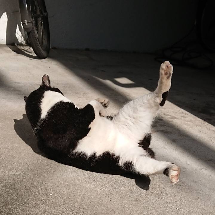 F455217b 10fd 4126 adfe 3669741c657f 1666497988455