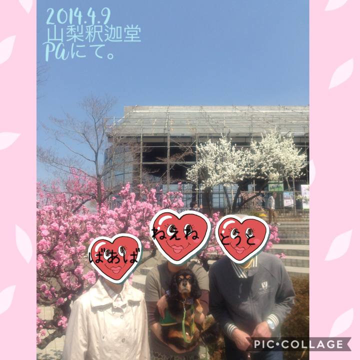 F45553c4 df40 488a b689 aea34d795dad 1554807612598