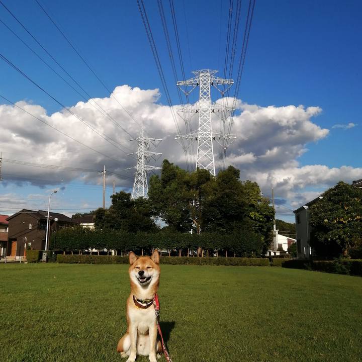 F4557c0f 7d23 4a96 a9be 62abd2237f8f 1601283468152