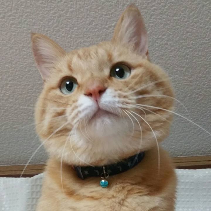 F4558ff2 bec9 44c2 9cc6 04e780b69494 1540336408335