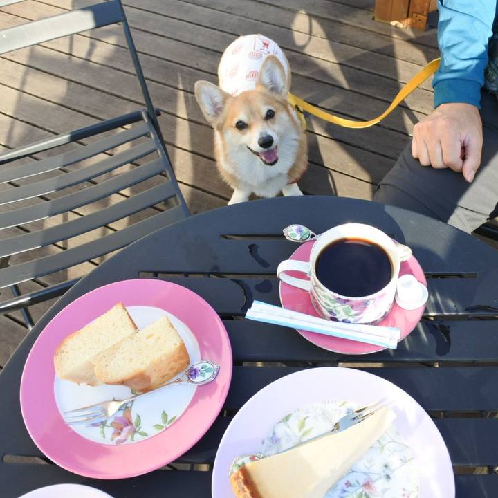 F45597de fb5d 4bc7 b422 9aab306e97c3 1668837331093