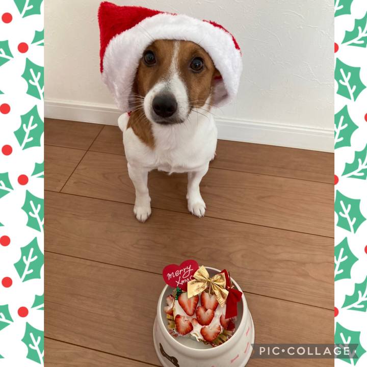 F4559fd9 6ac0 4dff a813 5ff0744fe643 1671941530100