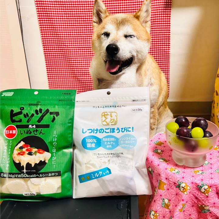 F455c529 d24d 4209 b4e2 0cbe1fff00e7 1758107700024