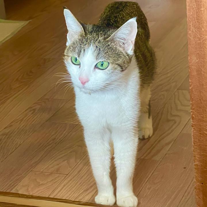 F455d3d5 cddf 4d00 a8b6 d0d9522025a3 1638400341438