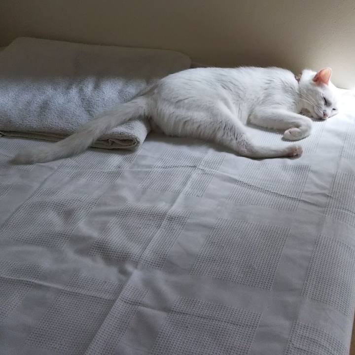 F455eb0f 0bf7 4c61 b00c a8a1a095417e 1630203654431