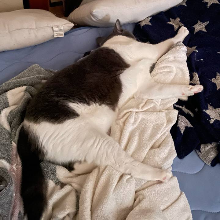 F45602d4 8434 4ba2 8033 354d1aa9962c 1660516199644