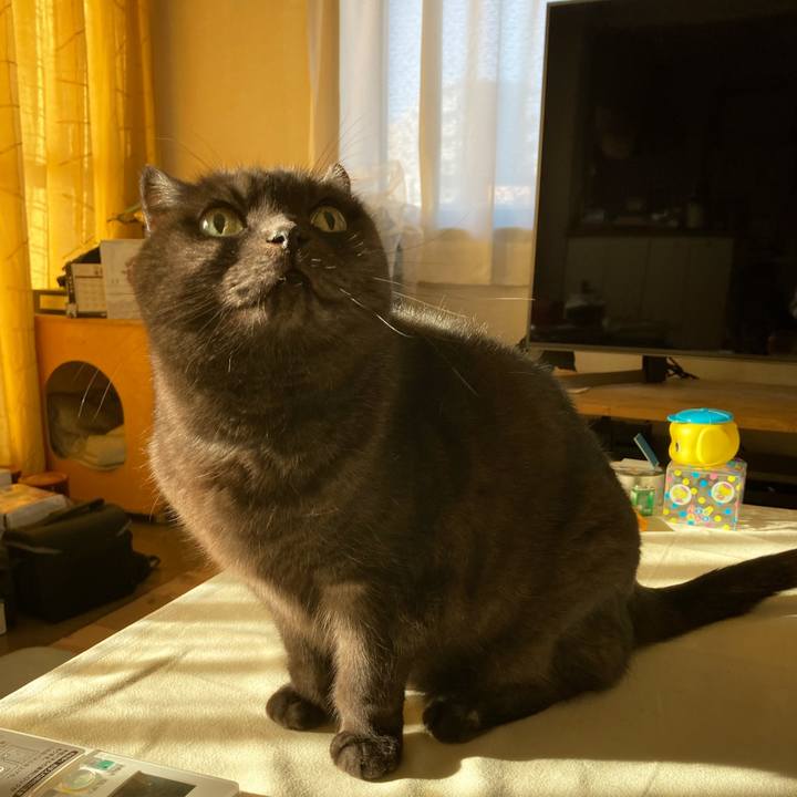 F4563d80 c518 4708 b2d1 f3cb5f413815 1608169045823