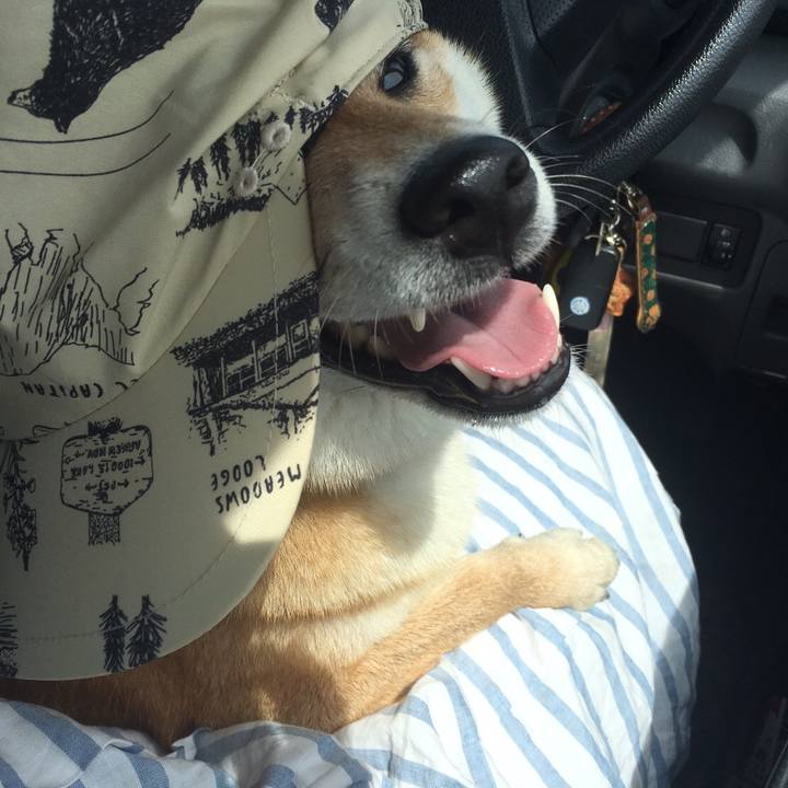 F4565162 1264 4585 bd8a afac19c4791a 1565650466141