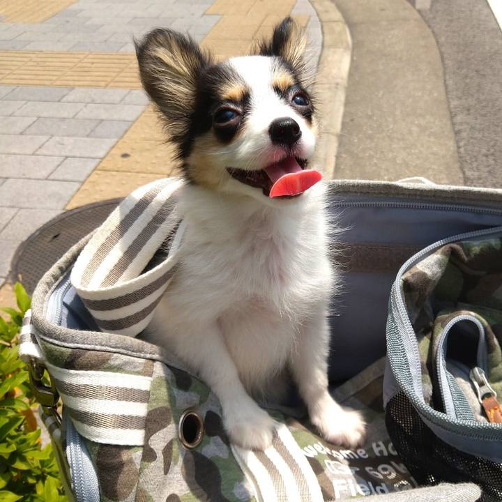 F4566265 e048 4fc0 8ab2 4dff88748c8c 1597027887449