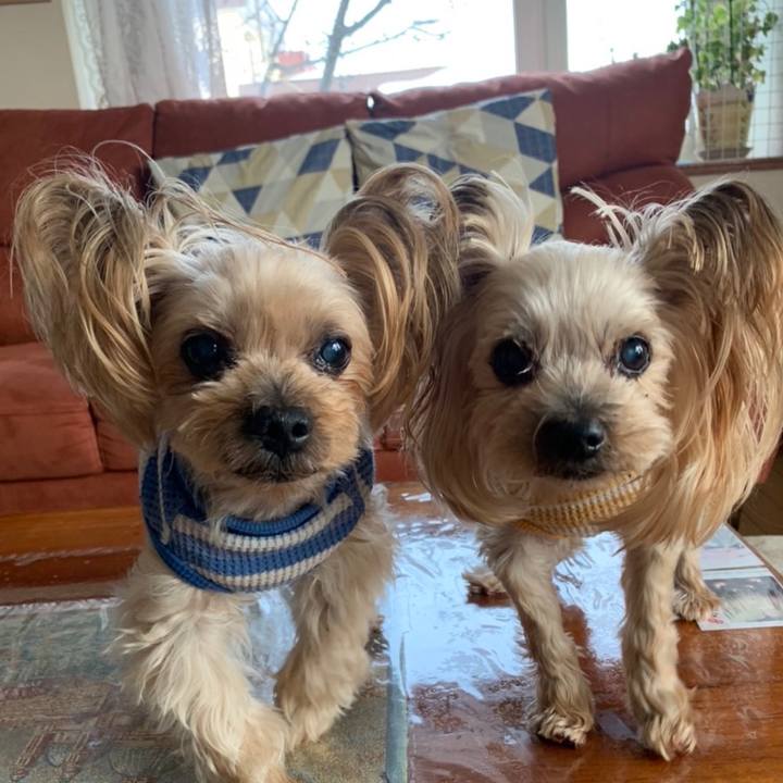 F4567e57 f0a8 40d3 9fea 226c7545b80c 1648029951844