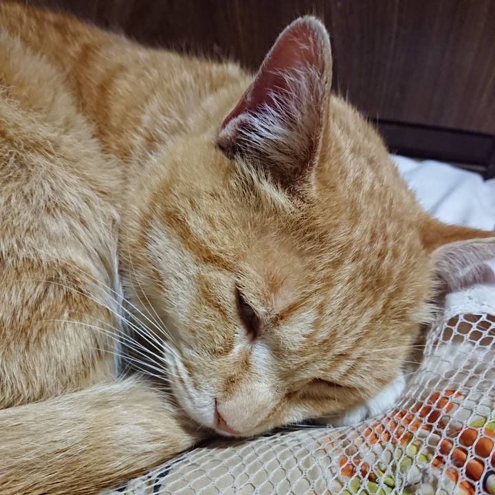 F45688b1 5bf1 44a0 a29c fa0103bb2e1b 1585746408754