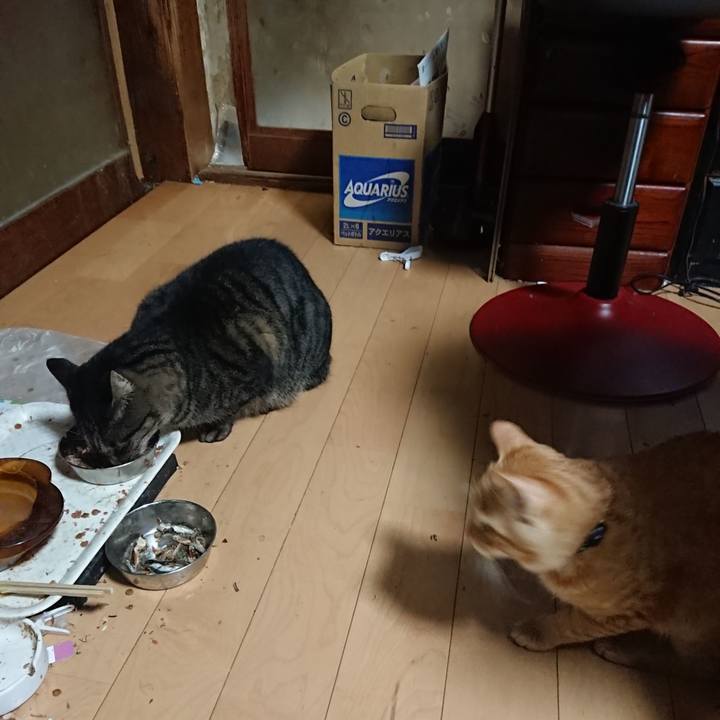 F456a95c a07b 4a18 8dc4 216154bf51ee 1635758423009