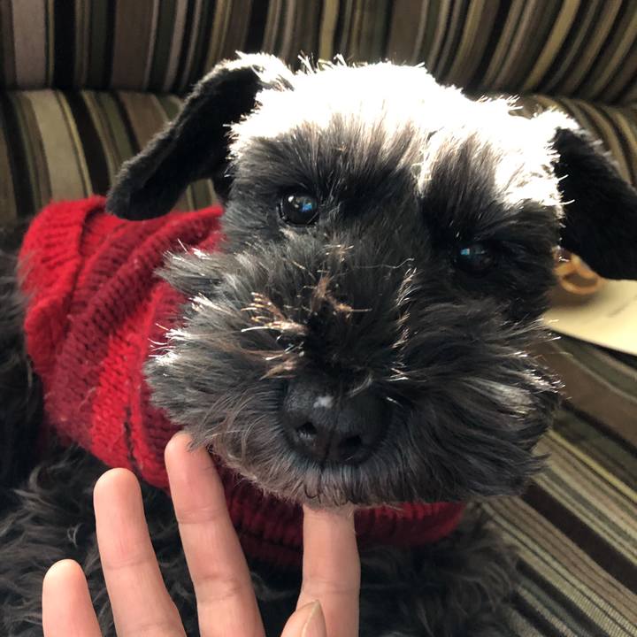 F456bf4e 4733 48ba a0a1 8298200138d9 1576467220978