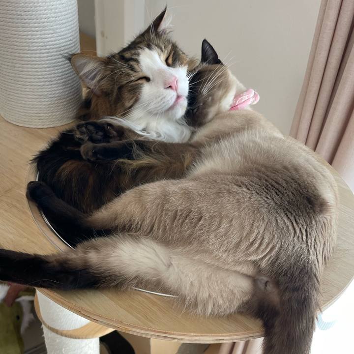 F456dba8 f7d9 4a02 baea b6fc5b4f6968 1716007018400