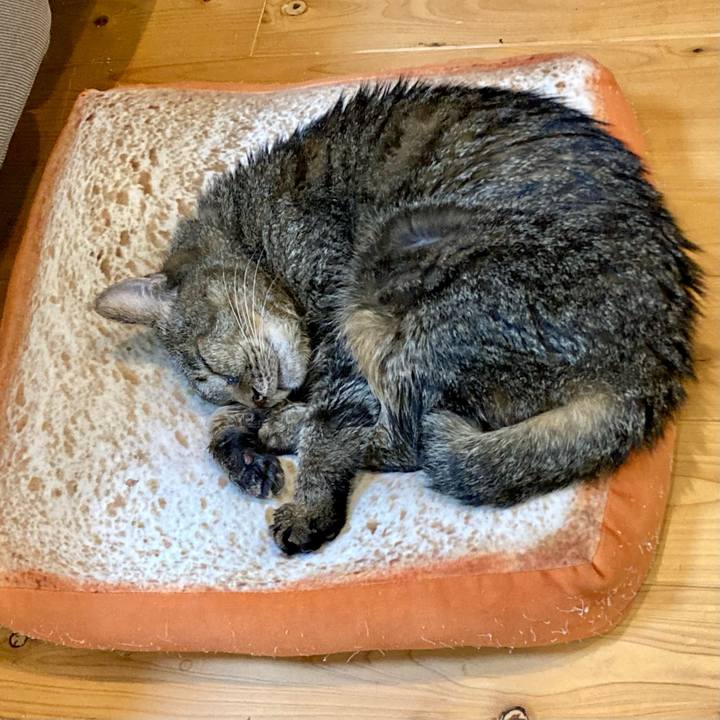 F456e3bd fe06 43c0 8815 e6276d5cc967 1686743677334