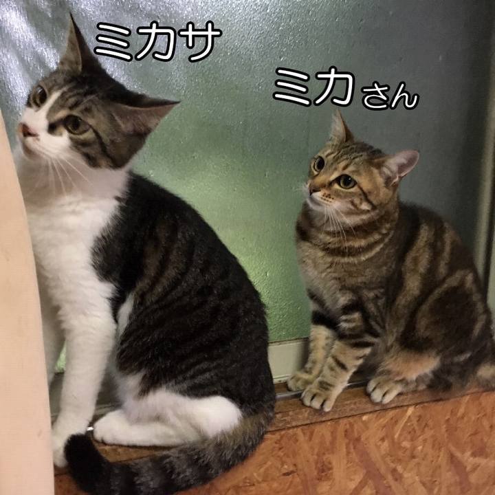 F45704ea f1fb 4058 bbe1 1534eaba3532 1560156958638