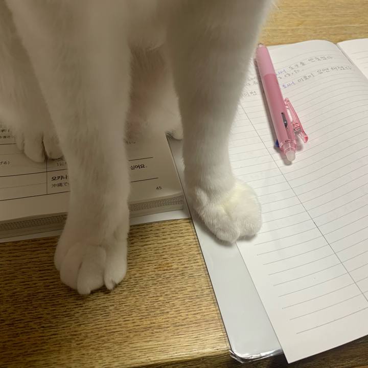 F45775b0 ae7a 44c9 bcb8 a9bbebc3a79a 1584537881704