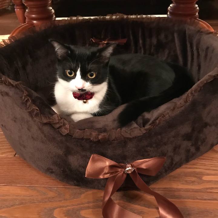 F4581372 51a5 4f75 8adf 642c9ce2000e 1511000645619