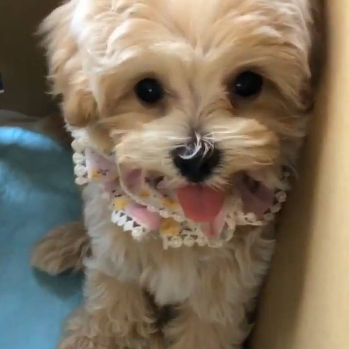 F4584829 2ce4 493d b1f9 114c9a6e2d26 1568292182675