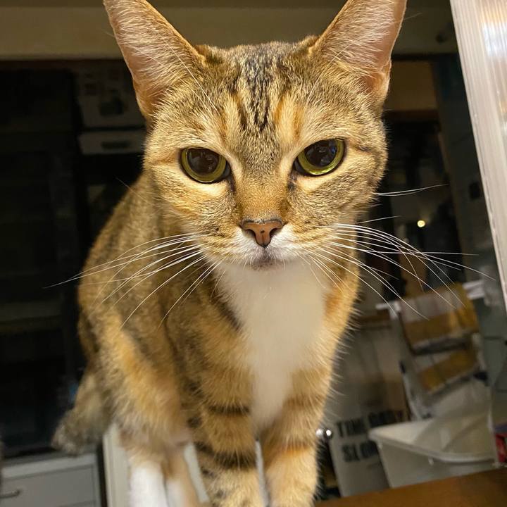 F45861bf 4b2b 4e32 a38f 6f9b7eeb821d 1608735940222