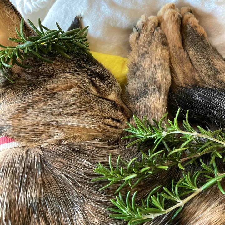 F4587277 83f4 4283 971f cb7f0d60e4fc 1723066239339