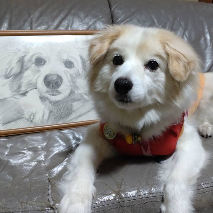 F4588c03 c007 4db6 b640 69dc03b3cb8e 1649243643080