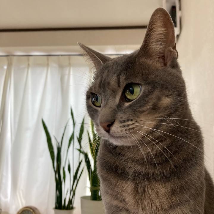 F4588e63 fe0d 40e7 923b 5bd401116589 1637457370664