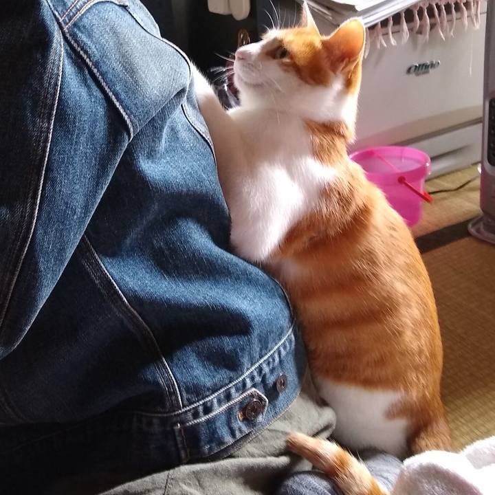 F458938b 0747 452d 96e0 3d9cfd82a7b4 1529232058640