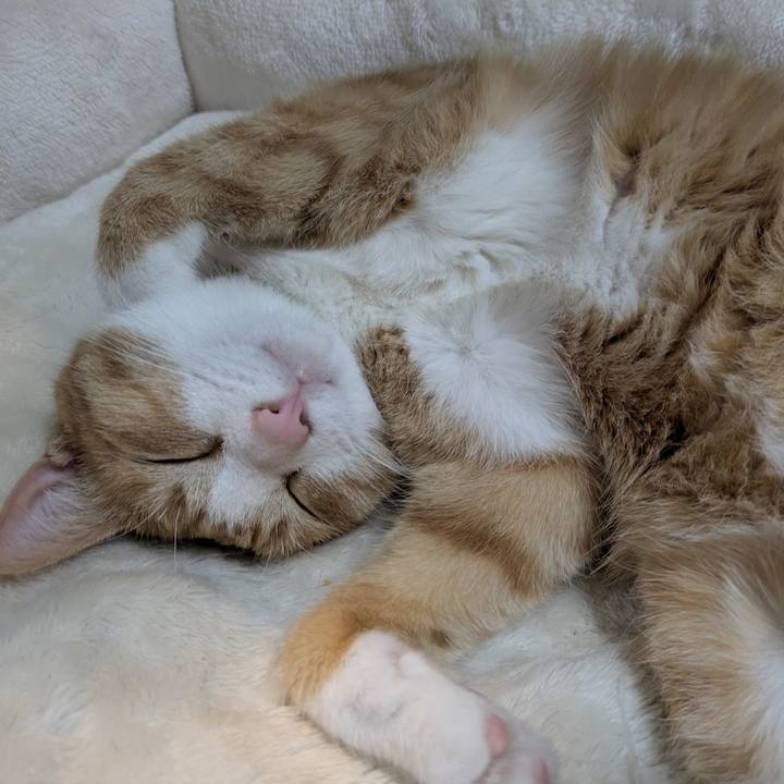 F458d7cc d8fc 4b18 8eac ca685b05e9e5 1774233398804