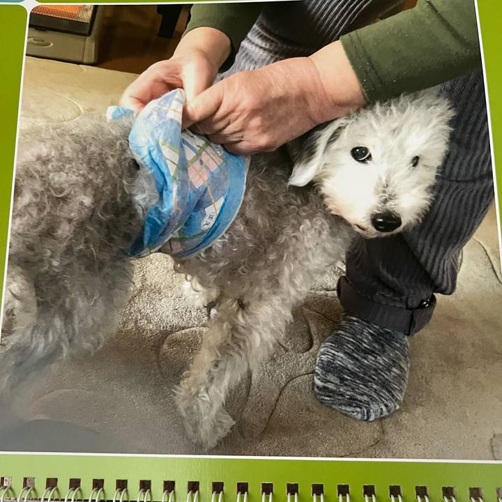 F458ddf3 b19b 4f60 8823 f4aad2abd373 1696464586818