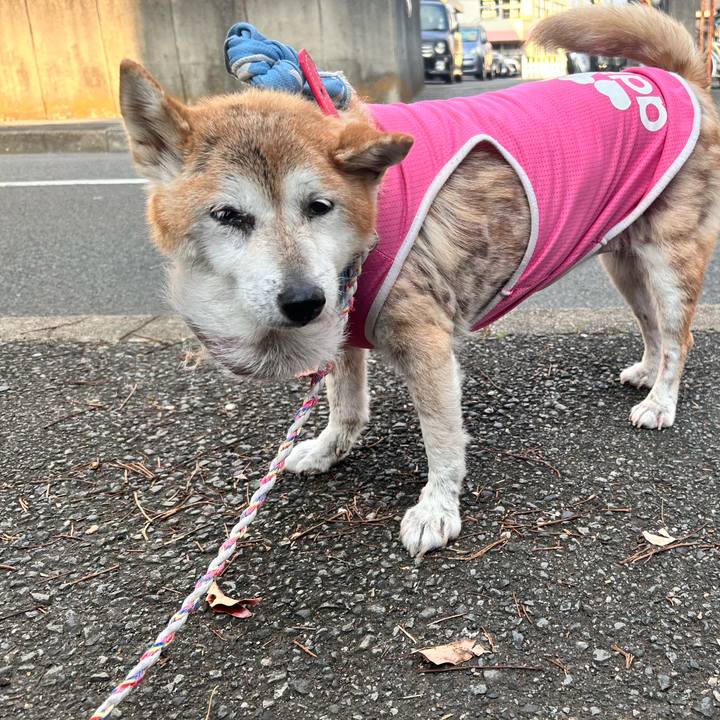 F459135a 3ef9 405b a08e 3791fec76117 1763103161791