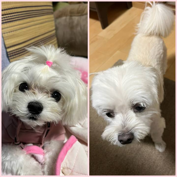 F4592154 8757 4536 9b4c 8a333b10d346 1727775589088