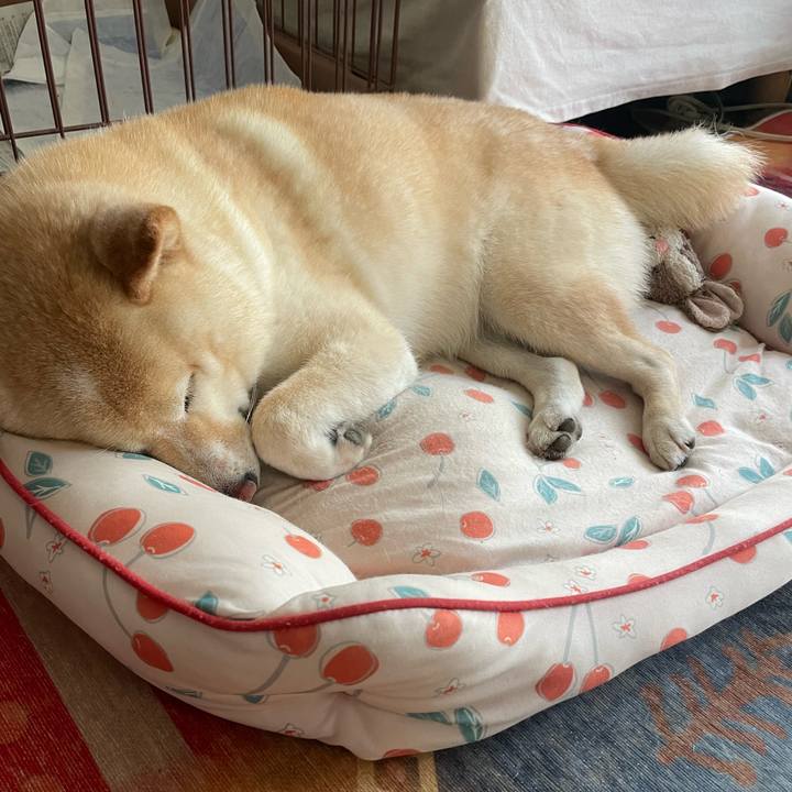 F45924ab cee4 4395 9f48 be4a71ef1144 1750551568701