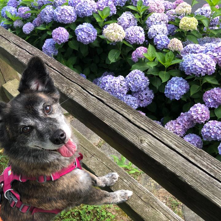 F4594087 8e25 430c 8403 0a685bc20834 1686995461865