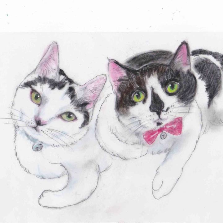 F459a39f 57ce 4f6e bd99 c923199122c3 1600223045042