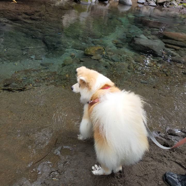 F459b65f 1710 4866 85df 9bb95414ca35 1660571648942