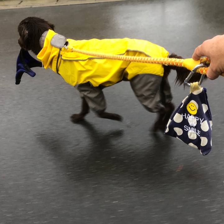 F45a0241 99ab 4ce9 b76e 58046a32a8fd 1590537692943