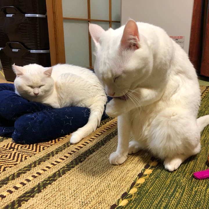 F45a2b53 8399 45ee 95ce 1343a26f7371 1581079802747